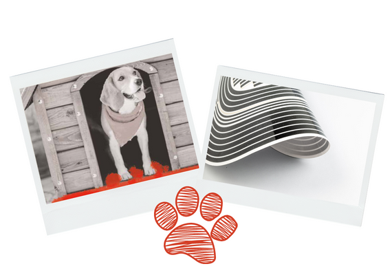 Heaters for kennels and doghouses