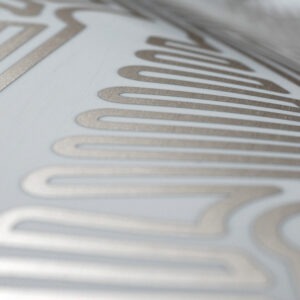 dettagliocircircuitoargento2 alper